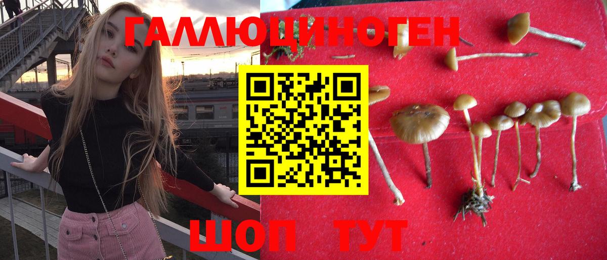 Галлюциногенные грибы GOLDEN TEACHER Городец