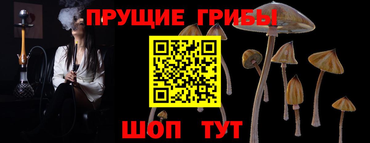Псилоцибиновые грибы Psilocybine cubensis  Вход с VPN  Городец 